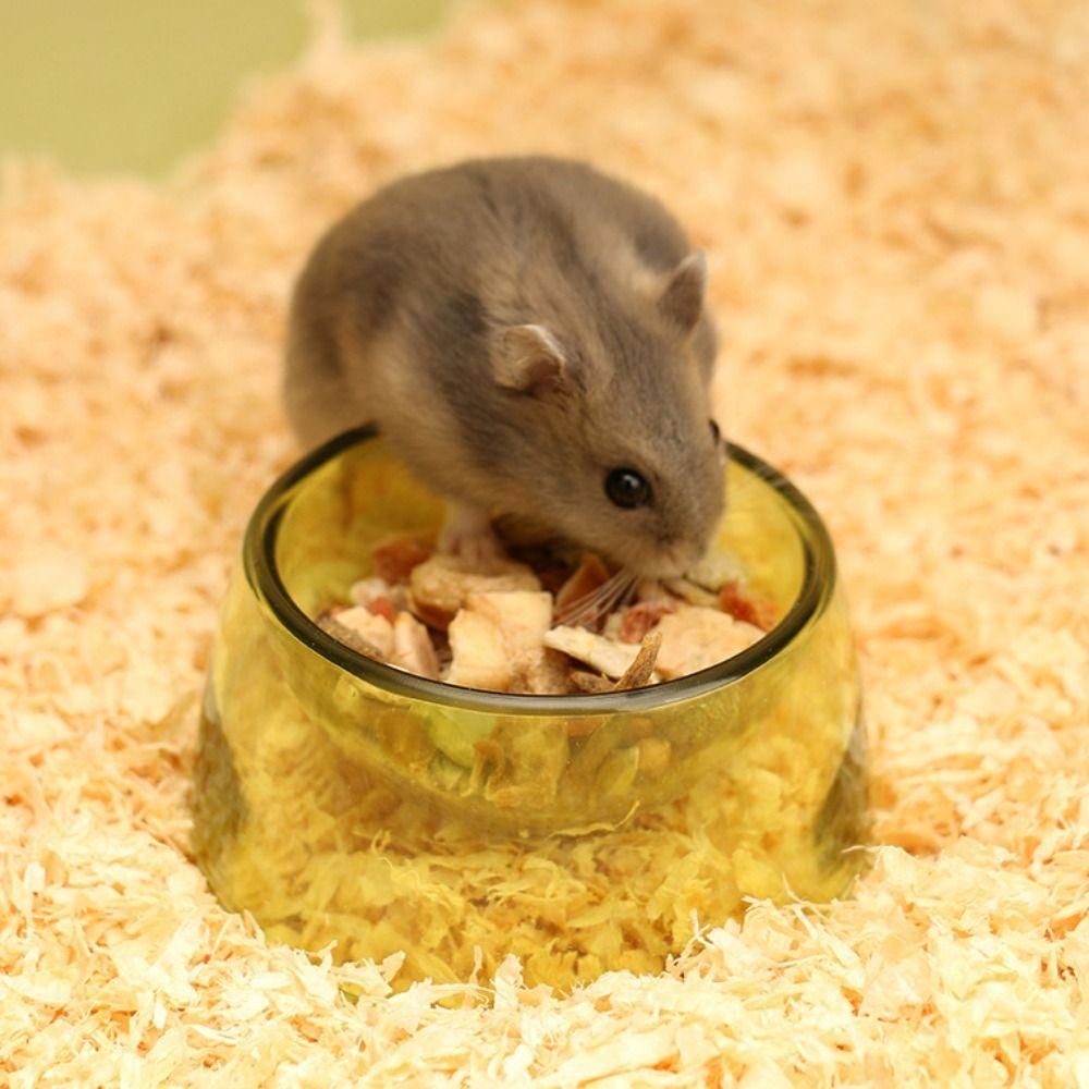 Non-slip Hamster Water Bowl Bite Resistant Pet Feeding Bowl For Rats Hamster Guinea Pig