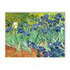 Van Gogh Classic Art Prints Abstract Sunflowers Starry Night Poster Classic Art Decorative s Bedroom Hallway Home Deco