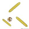 Realistic Pickle Stress Relief Toy Soft Tpr Material For Adults And Kids 25Cm Gadget Sensory Play