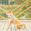 1Pc Cat Dog Harness Vest Chest Rope Set Reflective Breathable Adjustable Outdoor Walking Pet Harness for Small Medium Dogs