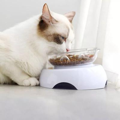 Tigela para cães e gatos, antiderrapante, transparente, comida lenta, alimentação única para animais de estimação, tigela de água, proteção para pescoço, bebedouro inclinado de 15°, suprimentos para animais de estimação