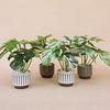 Mini Potted Monstera Doll Mansion Plant 1:6 Scale Miniature Monstera Plant Model for Dolls Living Room Bedroom Decoration