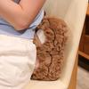 Blush Cheek Stuffed Pillow Cute Bear Face Plush Pillow Sofa Cushion  Waist Protection