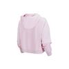 Nike Casual Pullover Hoodie Women hoodies Foam-Pink DJ1075-663