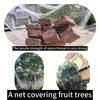 Drawstring Anti Bird Net White Mesh Plant Protection Net New Garden Netting  Garden Protection