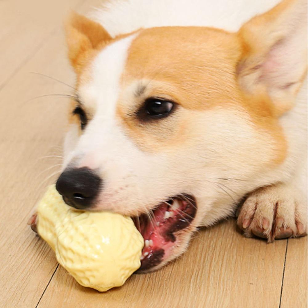 Peanut Shape Squeaky Dog Toy Tpr Teething Chew Toy Dog Boredom Relief Toy Home Alone Entertainment