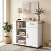 Mobile da Cucina con Cassetto, Armadietto e Ripiano Regolabile, Bianco