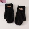 Plush gloves female students keep warm in autumn and winter cute plush thickened simple couple cycling windproof and cold-proof gloves