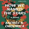 How We Named the Stars by Andres N. Ordorica Paperback Book 9781916812079