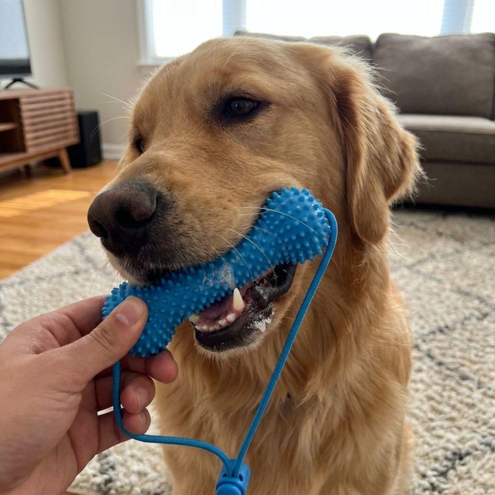Anti-choking Dog Teething Stick Bite-Resistant Interactive Dog Toy Dog Chew Stick Teeth Cleaning