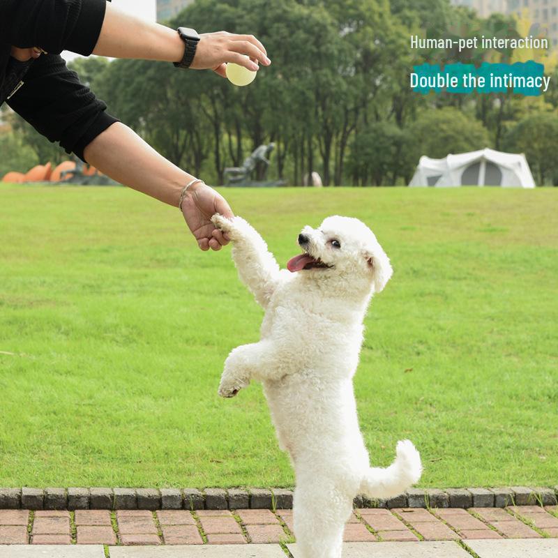 "Luminous Elastic Dog Toy Ball - Bite-Resistant Teething Toy for Small, Medium, and Large Dogs"