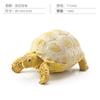 Simulation Amphibian Reptile Model Tortoise Tortoise Star Tortoise Static Decoration Cognitive Ornament Toy