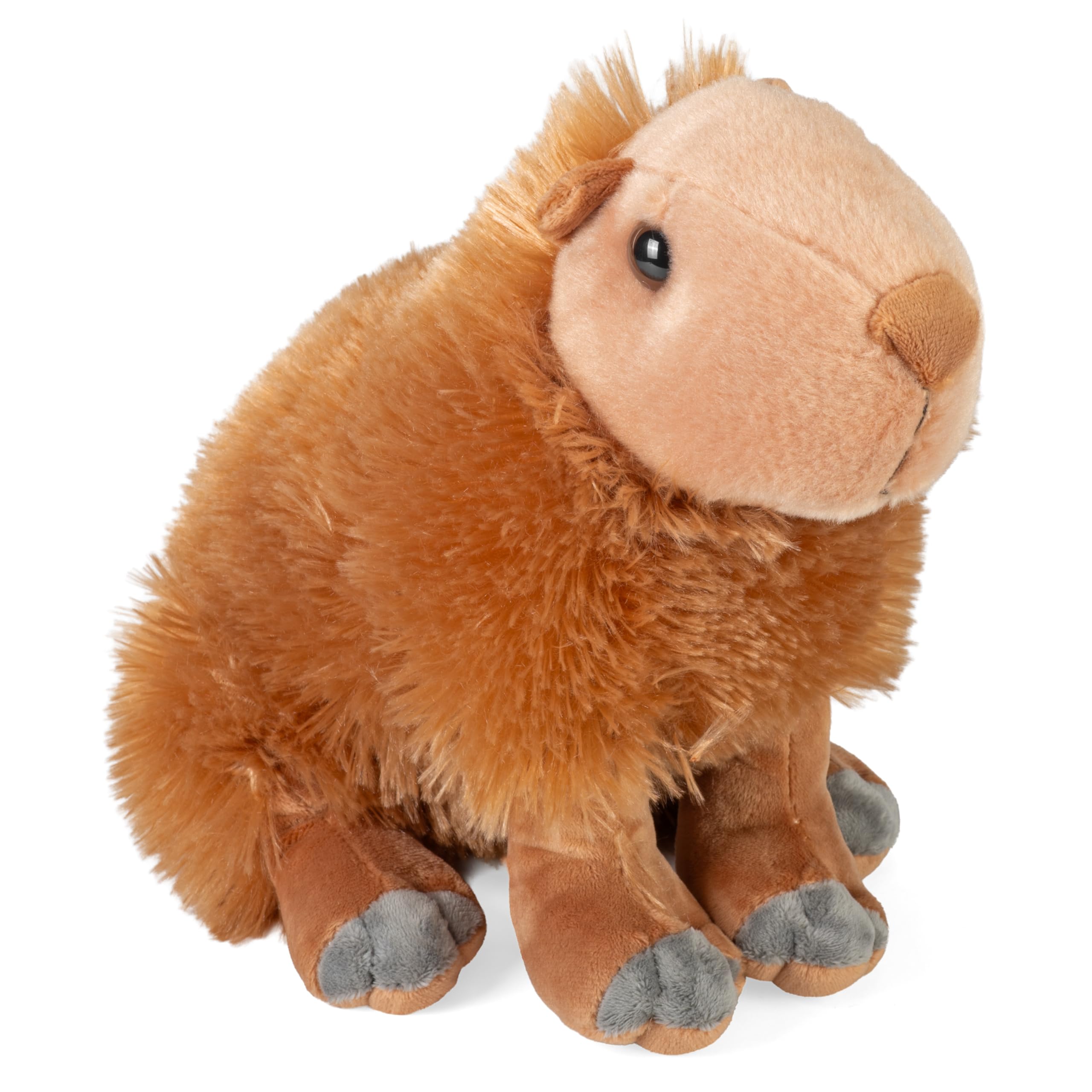 Wild Republic Capybara Plush Toy 12  11706