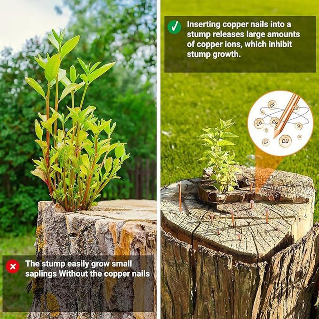 15 pcs Copper Nails for Killing Trees Stump Root Slowly, 3.15" Copper Nails with Drill, Stump Removal Spikes Nails for Trees, Stumps