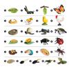 Cycle Teaching Material Life Cycle Figurine Simulation Animals Action Figures Growth Cycle Model