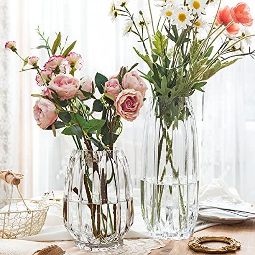 Set of 2 30cm Clear Glass Vases, Flower Bases, Glass Bottles, Perfect for Arranging Flowers, Hydroponics, Ikebana, and Artificial Flowers, Stylish and