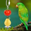 Durability Parrots Feeding Stainless Steel Fruit Fork Feeders with Foraging Cup Food Dish Water Bowl Mounting Accessories