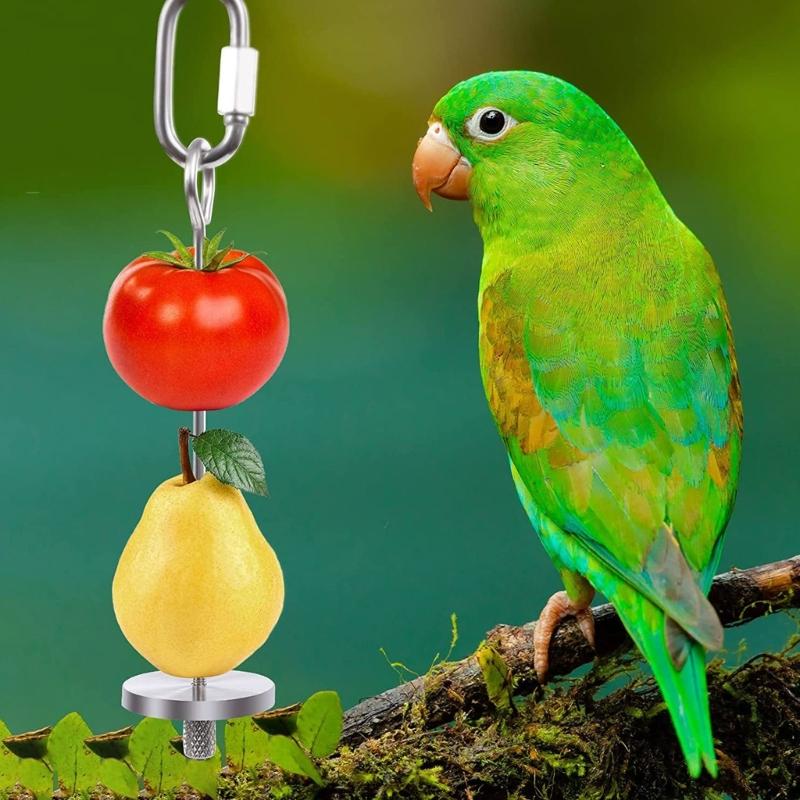 Durability Parrots Feeding Stainless Steel Fruit Fork Feeders with Foraging Cup Food Dish Water Bowl Mounting Accessories