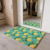 Summer Cartoon Fruit Colorful Floor Mat Washable Absorbent Flannel Door Mat Non-Slip Indoor Floor Carpet
