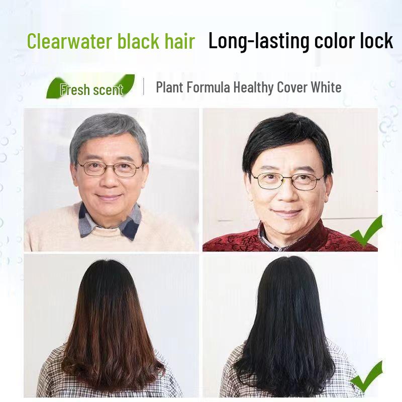 Plant-Based Hair Dye Cream: Non-Staining, Gray Hair Coverage, Home Use, 500ml (Pack of 2)