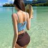 Factory Korean Version Women's Swimsuit Skirt Split Ins Hot Spring Vacation Sexy High Waist Slim Swimsuit