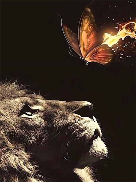 5d Diamant Malerei voller Bohrer Tiger Löwe Quadrat/Runde Stickerei Kreuzstich Tiere Mosaik Kristall Home Decor