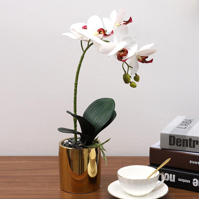 Simulation Plant Phalaenopsis Pot Home Living Room Decoration Fake Flower Flower Pot Simulation Flower Factory Wholesale