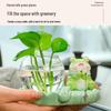 Frog-Themed Hydroponic Vase for Office Decoration