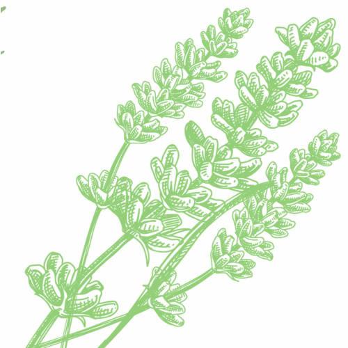 Arm & Hammer, Natural Deodorizing Essentials, Deodorant, Fresh Rosemary & Lavender, 2.5 oz (71 g)