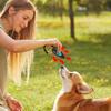 Clicker Addestramento Cane Gatto Clicker Addestratore Varie Style Aiuto Cinturino da Polso Regolabile Portachiavi Sonoro Repellente Cane Prodotto per Animali Domestici