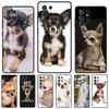Tier Chihuahua Handyhülle Für Samsung Galaxy S24 S25 S23 S22 Ultra Note 10 20 Plus S20 S21 FE Hülle