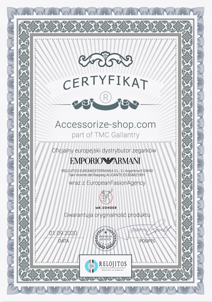 ZEGAREK DAMSKI EMPORIO ARMANI AR1907 - CLASSIC (zi501c)