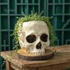 Desktop Plant Display Halloween Retro Skull Planter, Spooky Gothic Human Head Flower Pot, Indoor Potted Pot Skeleton Candy Bowl Decoration for