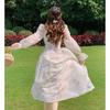 Square Collar Printed Chiffon Dress Long Sleeved Sweet A-line Loose Elegant Floral Holiday Dress Fashion Long Sleeve Spring Slim Fit Casual Dress