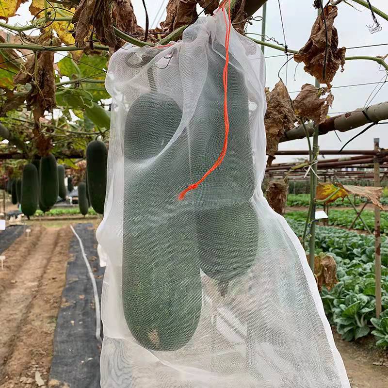 10/100Pcs Orchard Fruit Planting Protection Bag Insect and Bird Proof Fruit and Vegetable Growth Bag Garden Accessories