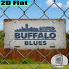 D FlatA Vintage Aluminum Sign in Water Buffalo BlueDecorative Item Gift for Blues Music Festival American Blues Style