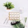 Golden Round Pen Holder for Office Supplies Multi-functional Iron Art Organizer Case Makeup Brush Holder Desktop Storage Boxes