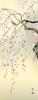 Hanging Scroll Spring Cherry Blossoms by Kangetsu Moriyama Shakusan Scroll Tokonoma Japanese Hand-Painted Wall Art Decor