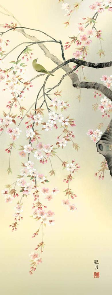 Hanging Scroll Spring Cherry Blossoms by Kangetsu Moriyama Shakusan Scroll Tokonoma Japanese Hand-Painted Wall Art Decor