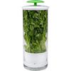Clear Vegetable Saver Plastic Herb Storage Container Herb Saver For Refrigerator Breathable Tall Shape Fresh Herb Keeper