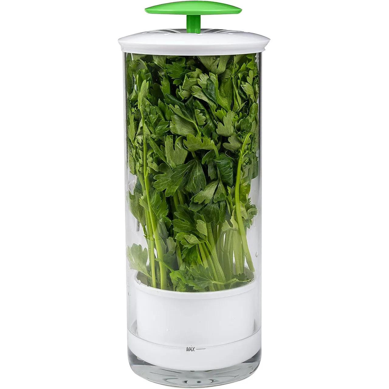 

Clear Vegetable Saver Plastic Herb Storage Container Herb Saver For Refrigerator Breathable Tall Shape Fresh Herb Keeper