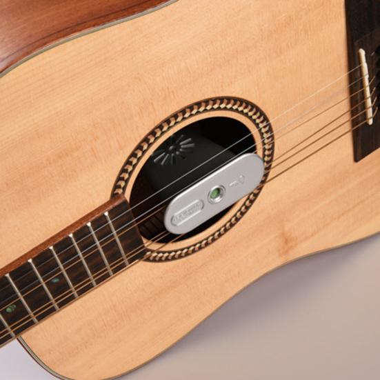 Umidificatore per buca di chitarra acustica Pro con serbatoio protettivo per l'umidità