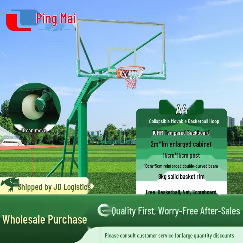 Pingmai Portable Basketball Hoop
