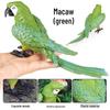 Wild Animal Simulation: Flying Parrot & Peacock Model Toy Ornament for Kids