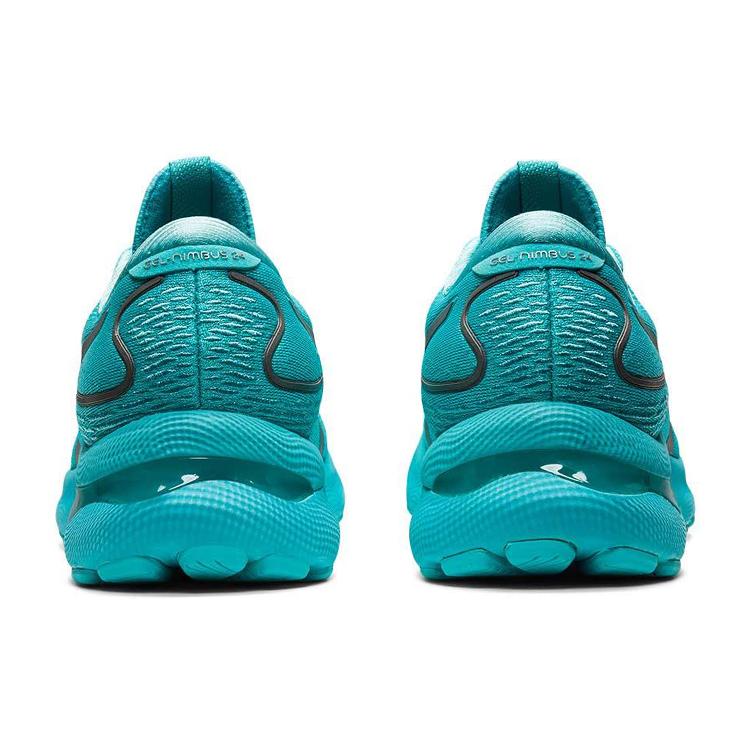 New Asics Gel Nimbus Lite Show 'Mint' Women's 1012B203-400