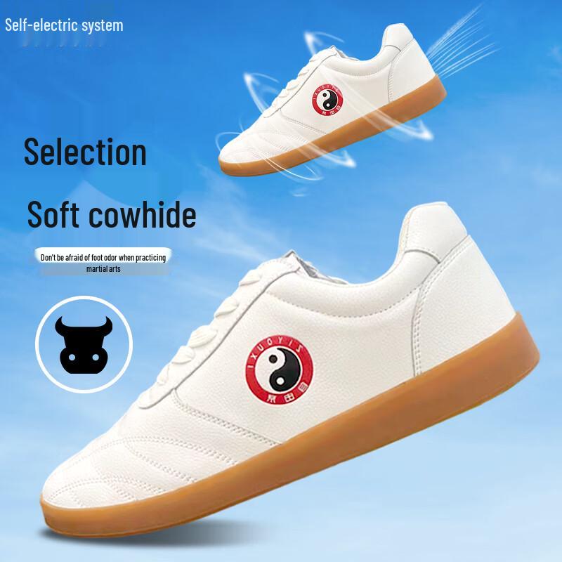 Унисекс Обувь для тренировок по Тайцзицюань 42