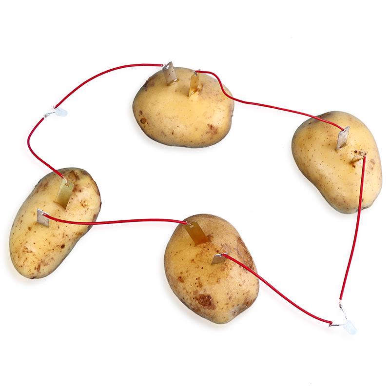 DIY Fruit Battery Kit for Kids: Science Experiment with Potatoes See Packaging