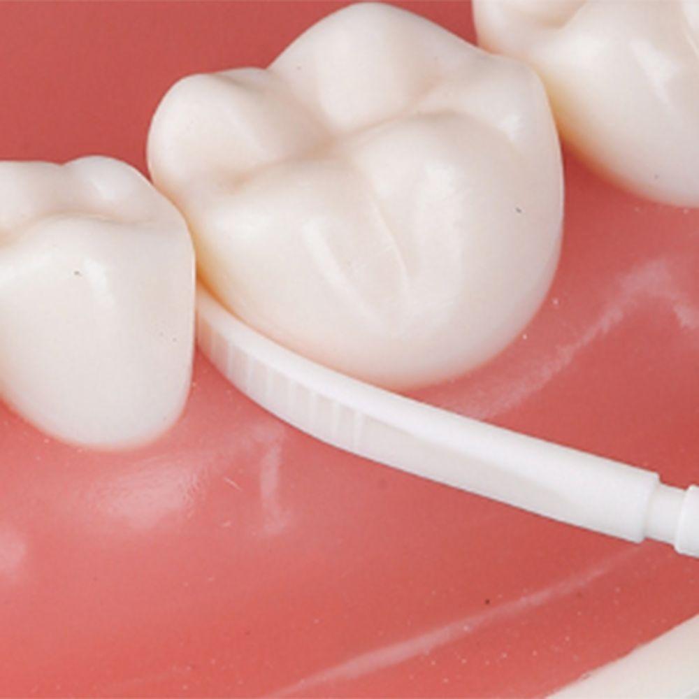 300/60 Pcs Portable Double-ended Toothpick Plastic Dental Floss  Household