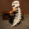 Weiches Dinosaurierskelett Cosplay Requisiten 3D Dinosaurierskelett Kostüm Set Kinder