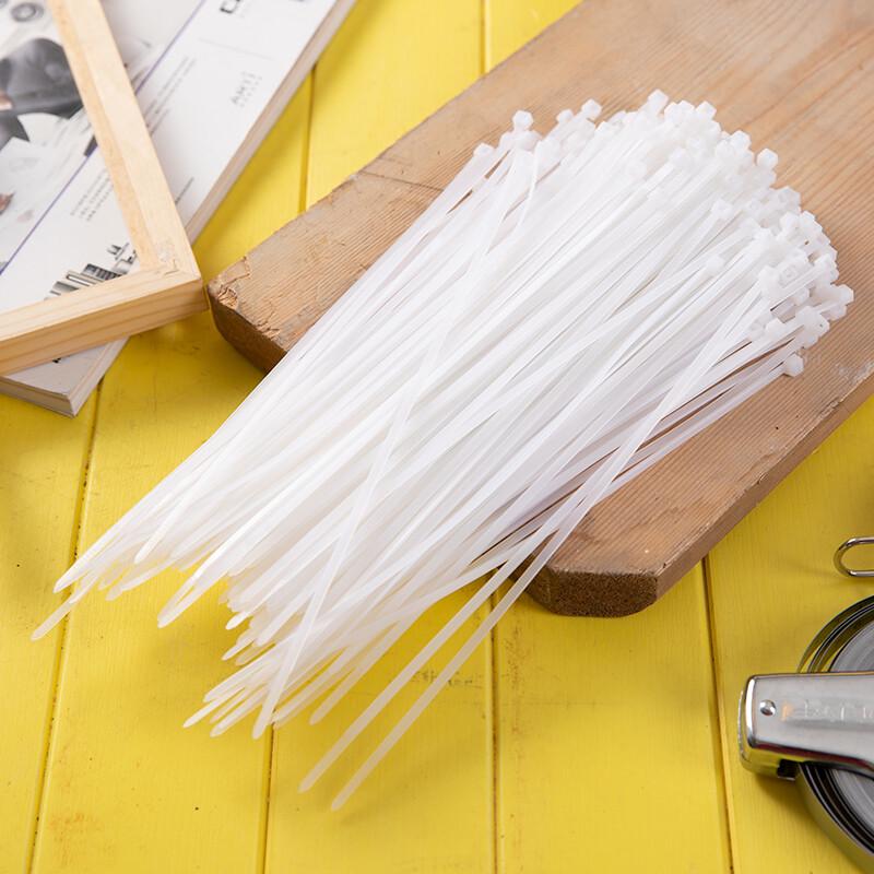 Deli Self-Locking Nylon Cable Ties